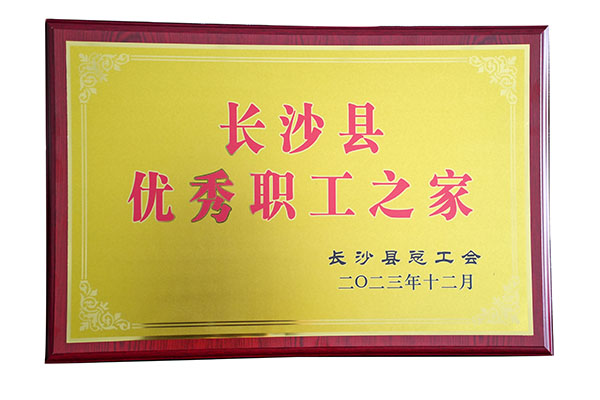 頂立工會(huì)榮獲“長沙縣優(yōu)秀職工之家”稱號(hào).jpg