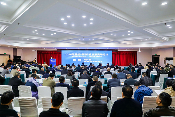 頂立科技參加硅基新材料高峰論壇，分享高純石英制備熱工裝備最新技術 (2).jpg