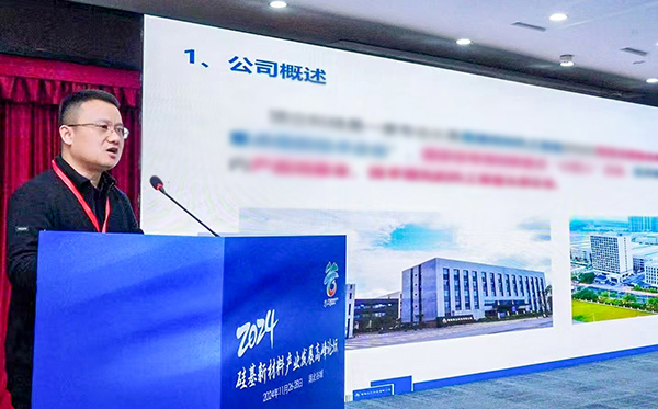 頂立科技參加硅基新材料高峰論壇，分享高純石英制備熱工裝備最新技術(shù)